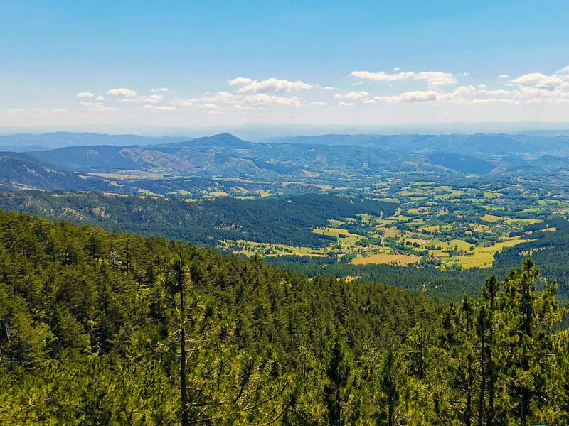 Divčibare leti